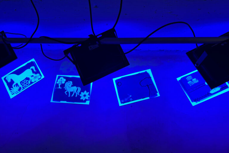 WhatsApp Image 2025-03-02 at 16.24.35