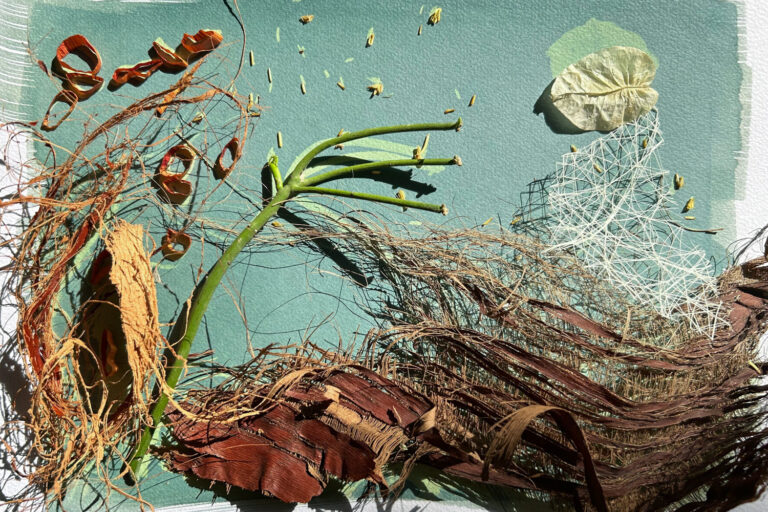 WhatsApp Image 2025-03-05 at 15.20.19 (5)-3