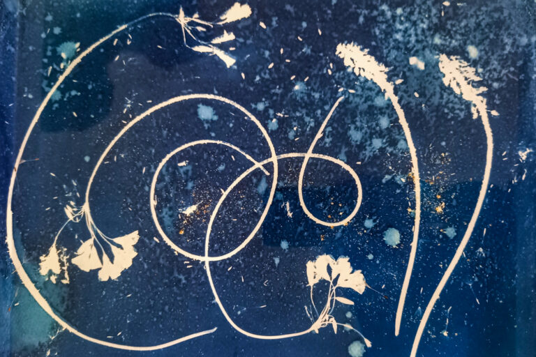 WhatsApp Image 2025-03-10 at 12.12.27 (1)